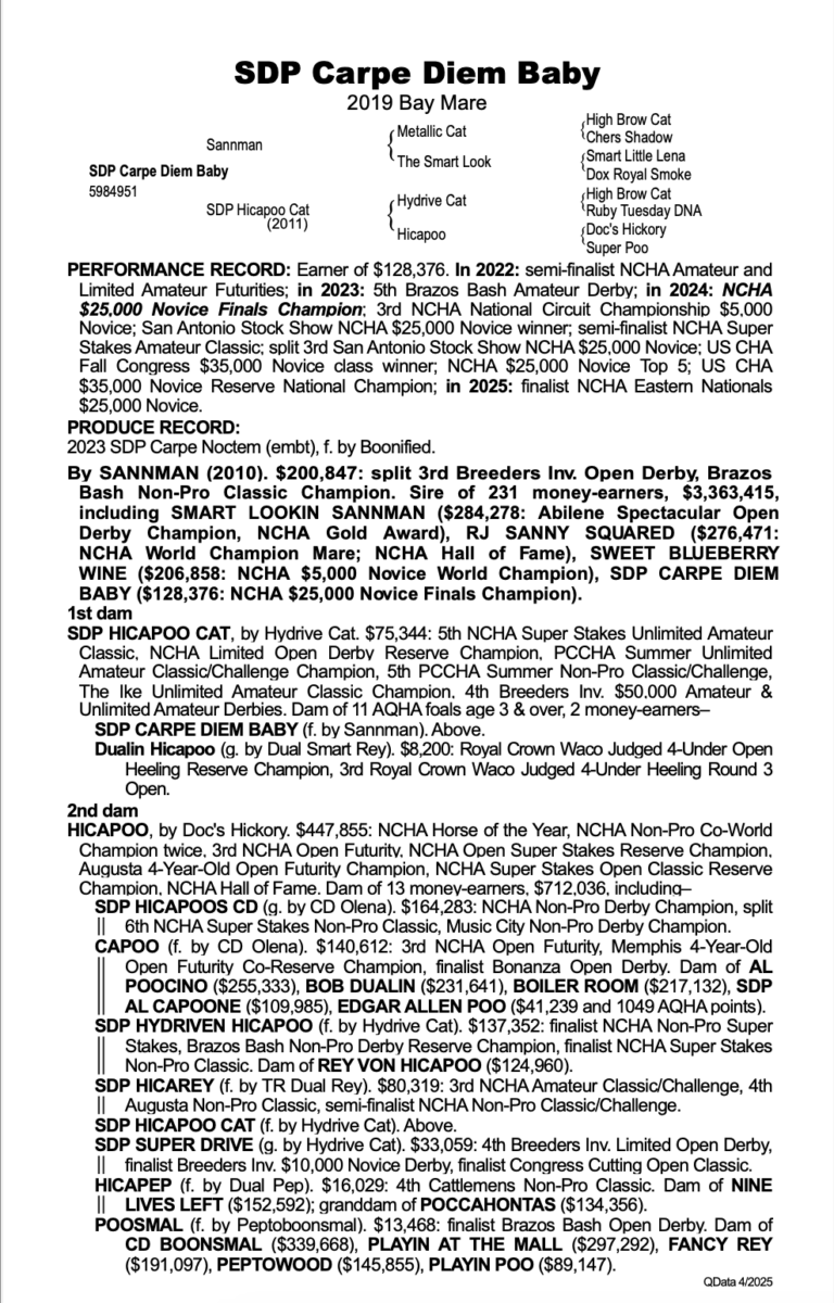 Screenshot 2025-05-06 at 8.19